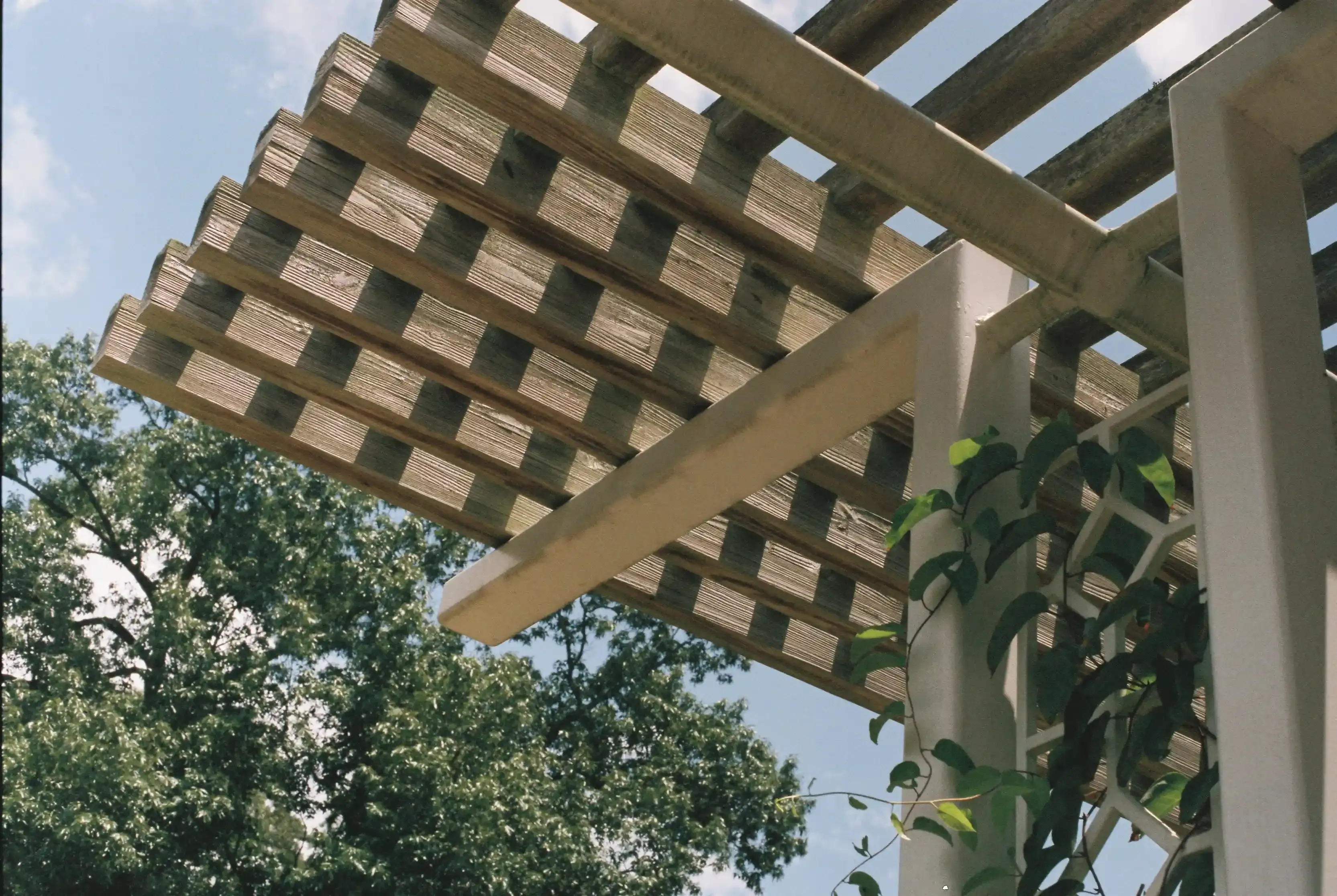 Give your yard or deck the shade it needs.